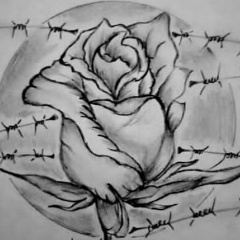 Vilik Askerov, 27.03.1989, Когалым