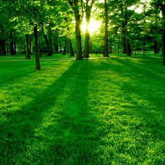 Айнур Ажибекова, 27.01.2003