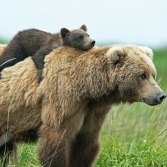 Нурсултан Каскабасов, 03.05.1990