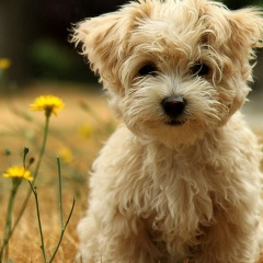 Патя Алиханова, 15.06.1990