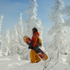 Евгения Антонова, 23.04.1981, Бердск