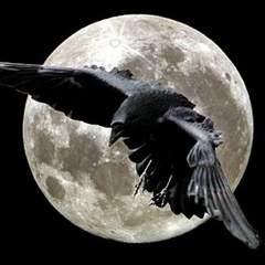 Владимир Дорошкевич, 28.12.1978, Новосибирск