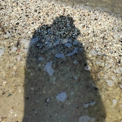 Оксана Почтарёва, 27.05