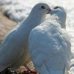 Sameh Sameh, 08.06, Riyadh