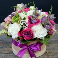 Елена Фощий, 03.07