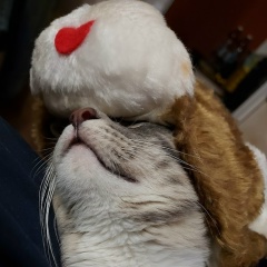 Александр Кудинов, 30.11.1981, Омск