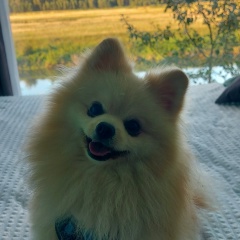 Наташа Белкина