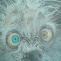 Иван Гурштын, 10.09.1986, Кондопога