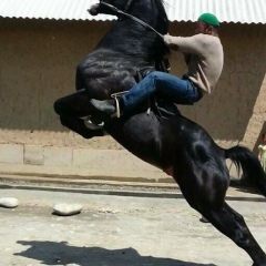 Жандос Мухтаров, 19.02