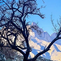 Александр Иванов, 09.01.1990, Нальчик