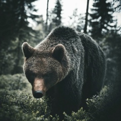 Асымжaн Анвaров, 06.09.1992, Алматы