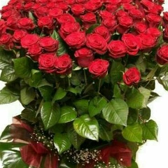 Венера Каренеева, Астана