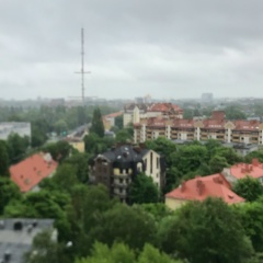 Павел Евдокимов, Калининград