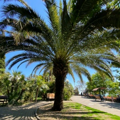 Giorgi Abralava, 18.01