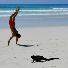 Артём Рыбак, 22.03.1989, Минск