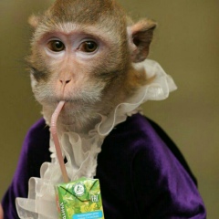 Никита Кнестяпин, Москва