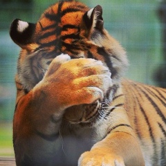 Леха Мальцев, 03.03.1993, Пятигорск