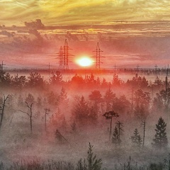 Сергей Согоконь, 30.01.1982, Пойковский