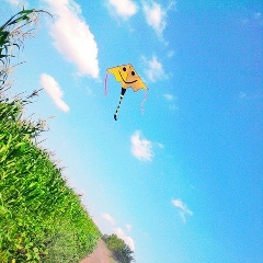 Максим Кондратюк, 12.12.1989, Кропивницкий / Кировоград