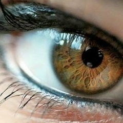 Александра Громова