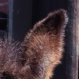 Вячеслав Шевелев, Екатеринбург