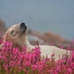 Just Me, 20.09.1992, Алматы