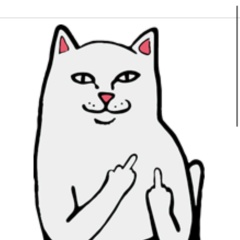 Сергей Иванов, 20.07, Санкт-Петербург