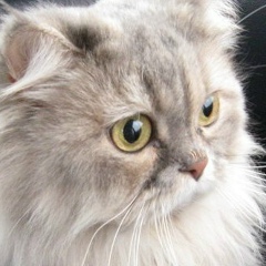 Юлия Косова, 24.05, Саранск