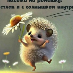 Надежда Гандашевская, Санкт-Петербург