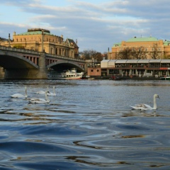 Ольга Дворянцева, 24.09.2007, Москва