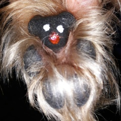 Кирилл Кокорев, 17.02, Хабаровск