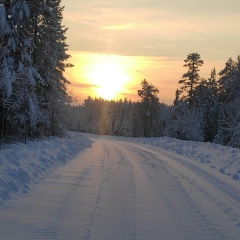 Александр Мезенцев, 01.04, Ухта