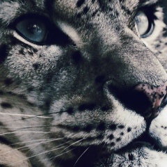 Жанна Исрапилова, 25.05, Санкт-Петербург