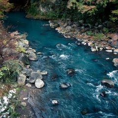 Дмитрий Бунин, Санкт-Петербург