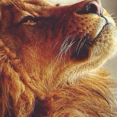 Саид Хадыров, 21.11.1991, Грозный