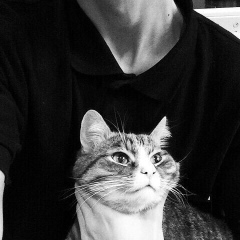 Виталий Фоменко, Белополье