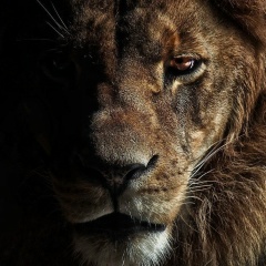 Андрей Яштугин, 26.07.1984, Волгоград