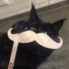 Ольга Селиверстова, 01.01.2004, Санкт-Петербург