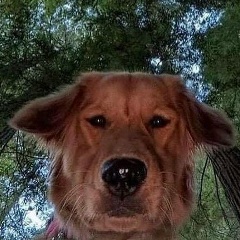 Дмитрий Гончаров, 12.03.2001