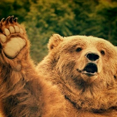 Слава Медведев, 27.09.1990, Кашира