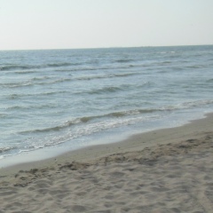 Руслан Штаймиллер, 22.11.1984, Одесса