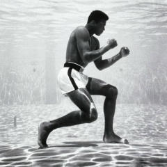 Átila Cansado, 17.01