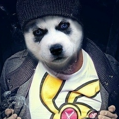 Дмитрий Иванаевский, 14.01, Санкт-Петербург