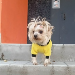 Виктория Гаврилова, 11.01, Мурманск