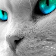 Наталья Багина, 19.06, Уфа