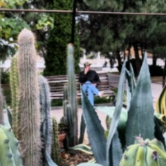 Егор Чехман, 05.08, Москва