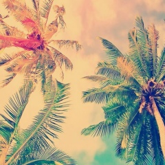 Мария Титова, 23.02.1990, Новосибирск