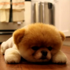 Заира Хамзатханова, 01.06.1997, Грозный