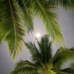 Станислав Беседин, Новосибирск