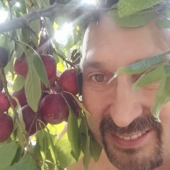 Владимир Белякович, 29.06, Санкт-Петербург